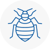 Bed Bug Extermination In Chelmsley Wood